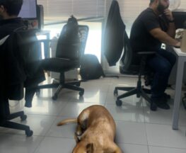 712922DB-BE32-485D-B669-34C64BB0021D